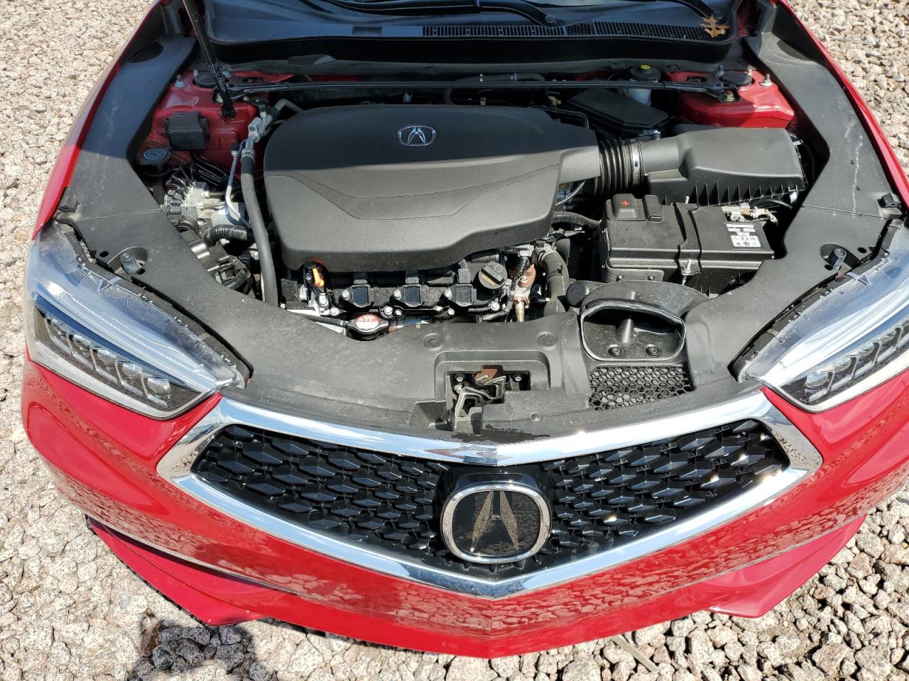 19UUB2F45KA008076 2019 Acura Tlx Technology