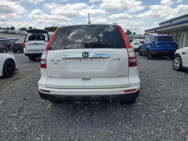 2010 Honda Cr-V Exl VIN: 5J6RE4H76AL039056 Lot: 40608850