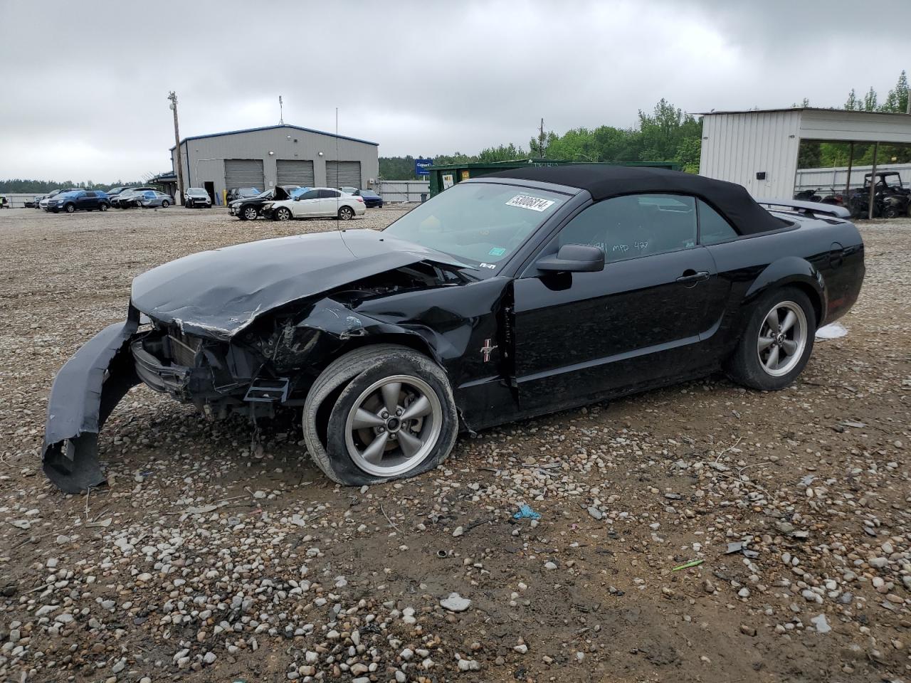 1ZVFT84N165264214 2006 Ford Mustang