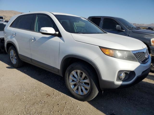 2013 Kia Sorento Lx VIN: 5XYKT4A13DG398304 Lot: 55345654