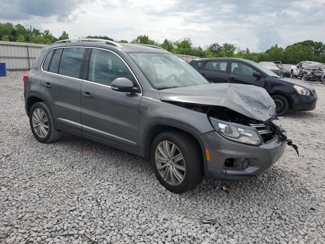 2016 Volkswagen Tiguan S VIN: WVGAV7AX1GW577424 Lot: 53310444