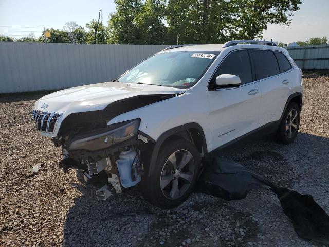 2019 Jeep Cherokee Limited VIN: 1C4PJMDX6KD236481 Lot: 55810134