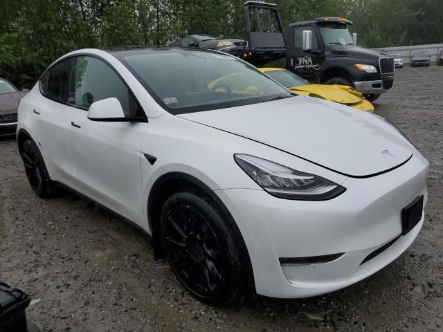 2023 Tesla Model Y VIN: 7SAYGDEE6PA056191 Lot: 53290284