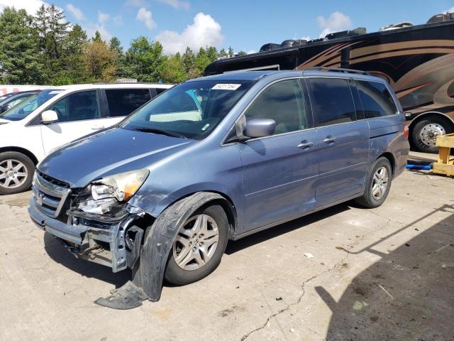 2005 Honda Odyssey Exl VIN: 5FNRL38695B065964 Lot: 54317154