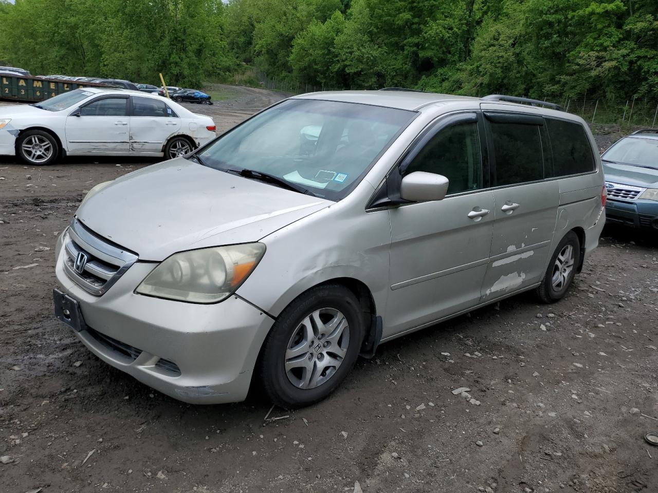 5FNRL38486B449024 2006 Honda Odyssey Ex