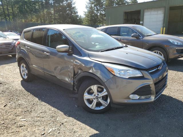 2014 Ford Escape Se VIN: 1FMCU0GX7EUA79053 Lot: 53984604