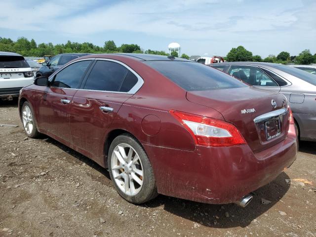 2011 Nissan Maxima S VIN: 1N4AA5AP2BC849273 Lot: 53439344