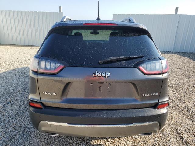 2019 Jeep Cherokee Limited VIN: 1C4PJMDX6KD293442 Lot: 56838714