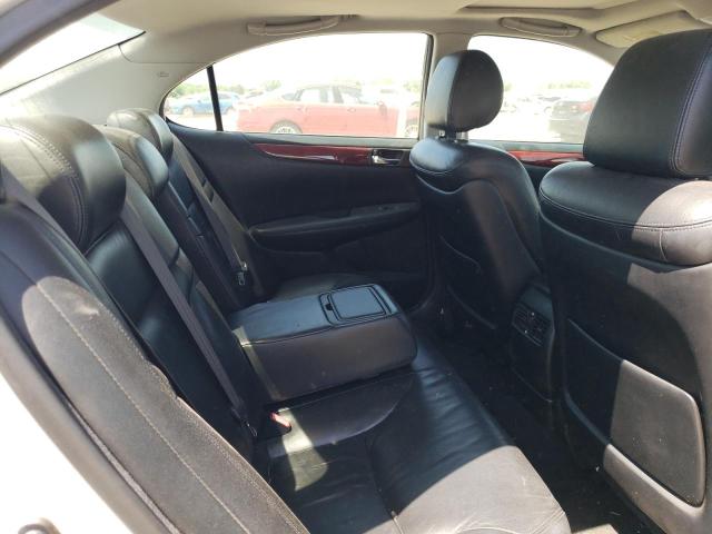 2002 Lexus Es 300 VIN: JTHBF30G725036813 Lot: 56396734