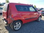 KIA SOUL + photo