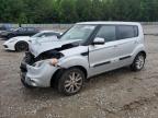 Lot #3052399585 2013 KIA SOUL +