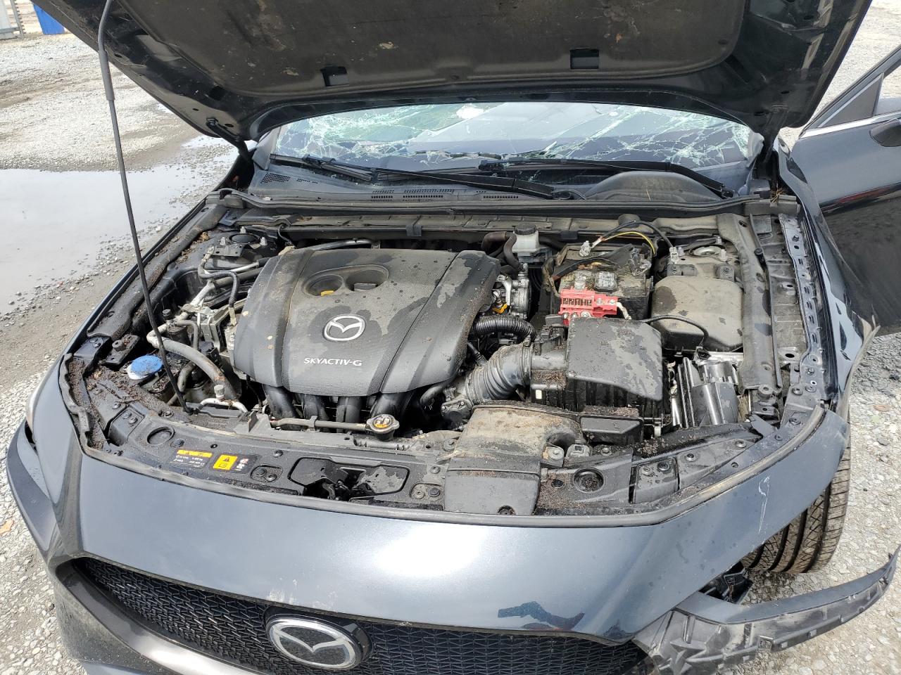 JM1BPAMM7K1116512 2019 Mazda 3 Preferred