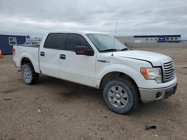 2010 Ford F150 Supercrew VIN: 1FTFW1EV7AFC23590 Lot: 53593404