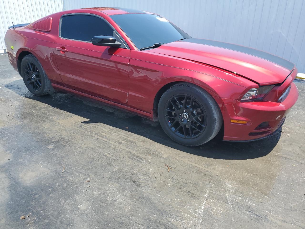 1ZVBP8AM3E5294019 2014 Ford Mustang