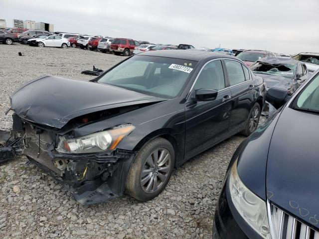 Lot #2533281456 2011 HONDA ACCORD EXL salvage car