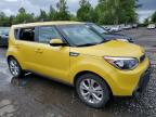 KIA SOUL + photo