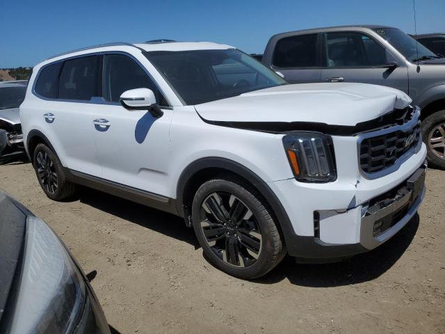 2023 Kia Telluride Sx VIN: 5XYP54GC9PG330702 Lot: 56929314