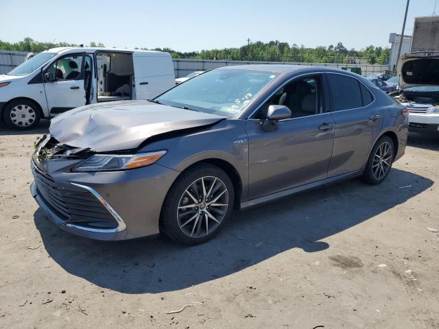 2021 Toyota Camry Xle VIN: 4T1F31AK9MU567065 Lot: 55842984