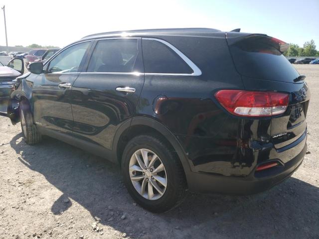 2016 Kia Sorento Lx VIN: 5XYPGDA55GG043572 Lot: 55635254