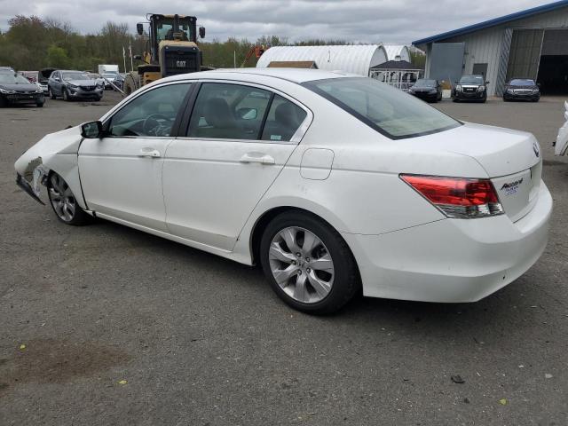 2009 Honda Accord Exl VIN: 1HGCP26859A056607 Lot: 53372884