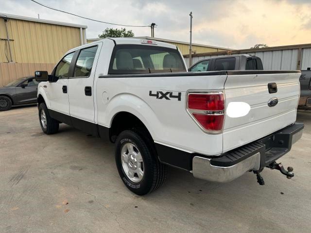 2010 Ford F150 Supercrew VIN: 1FTEW1E89AFC94702 Lot: 56922714