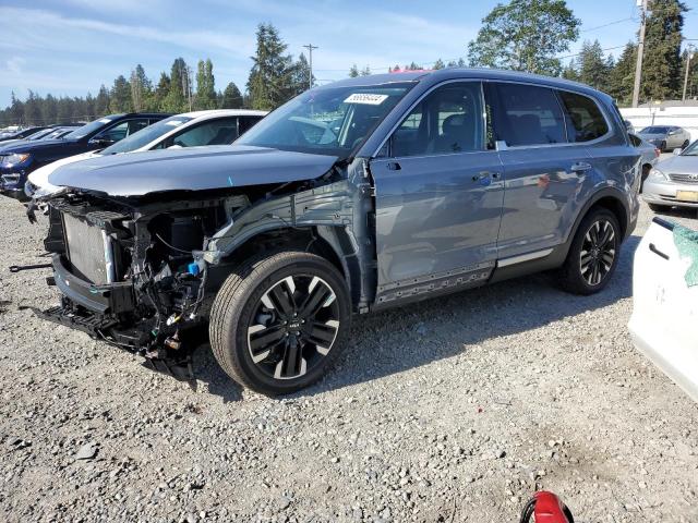 2024 Kia Telluride Sx VIN: 5XYP5DGC7RG422202 Lot: 56656444