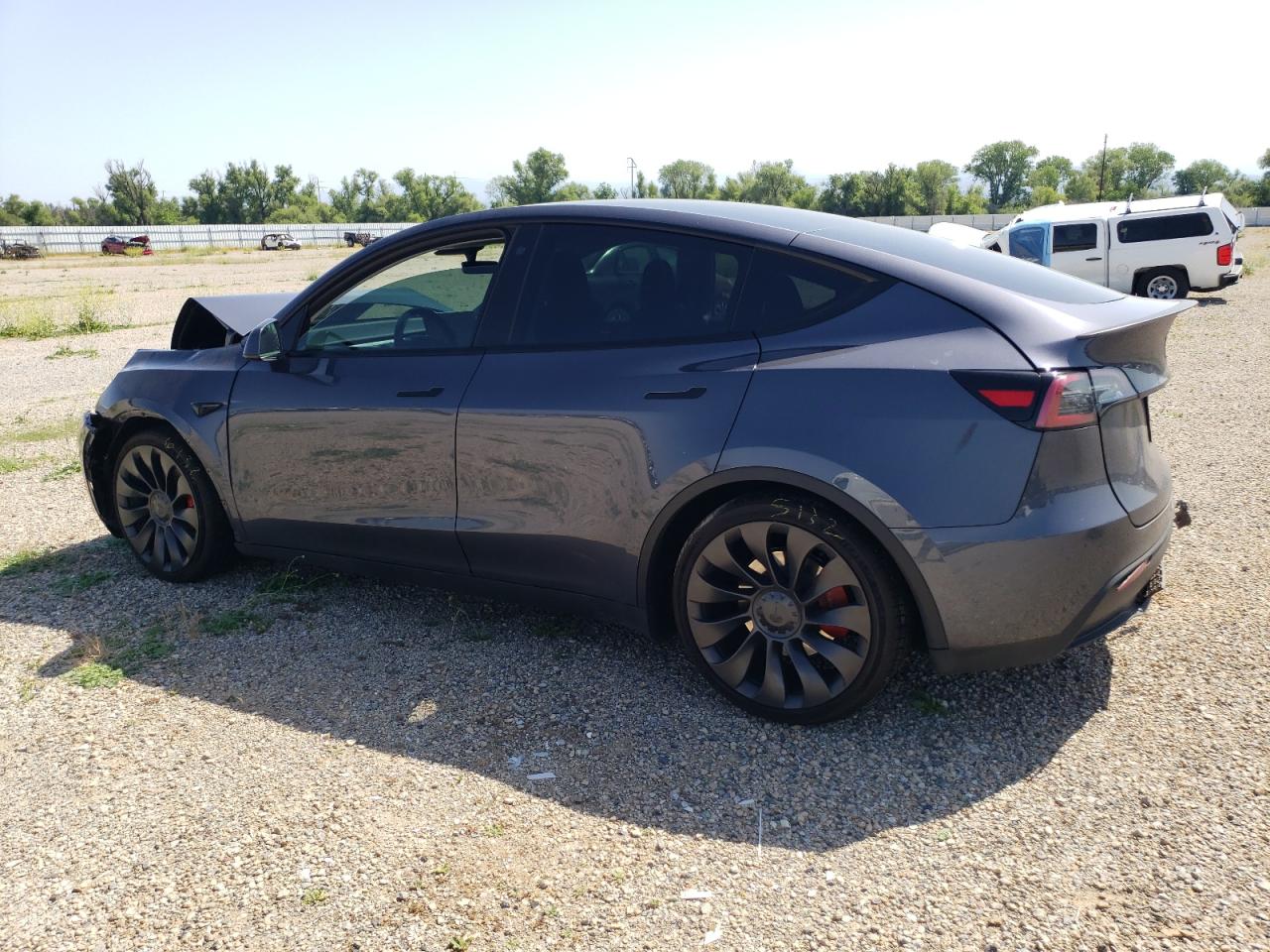 2023 Tesla Model Y vin: 7SAYGDEF6PF739827