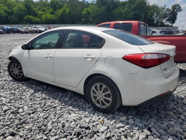 2014 Kia Forte Lx VIN: KNAFK4A6XE5063810 Lot: 53709394