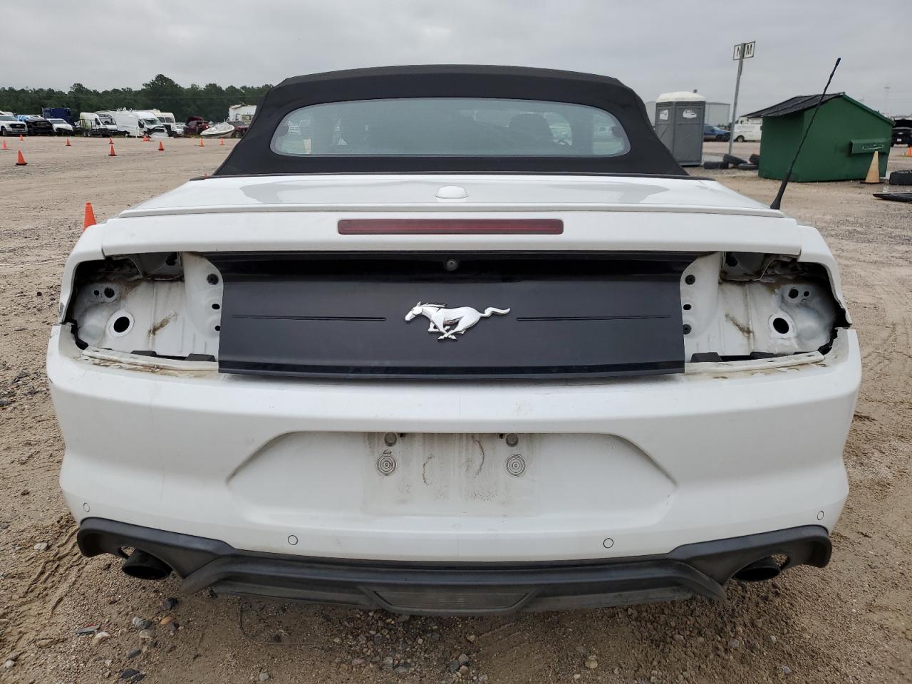 1FATP8UH9K5149316 2019 Ford Mustang