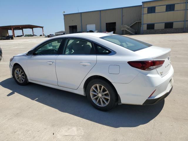 2019 Hyundai Sonata Se VIN: 5NPE24AF4KH803653 Lot: 55510464