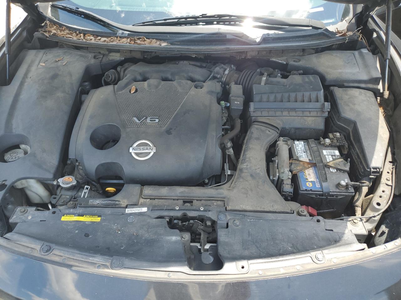 1N4AA51E49C803999 2009 Nissan Maxima S