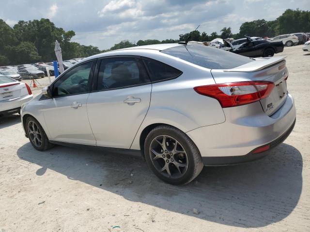 2013 Ford Focus Se VIN: 1FADP3F27DL175007 Lot: 53876954