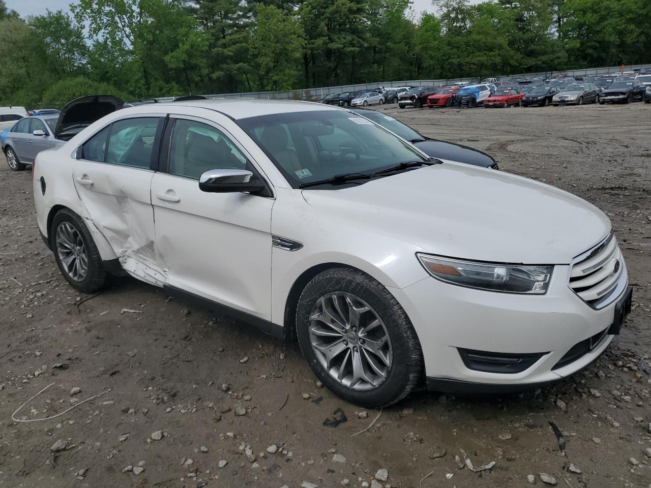 1FAHP2F81DG226686 2013 Ford Taurus Limited