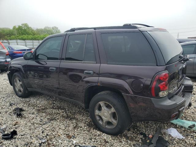 2008 Chevrolet Trailblazer Ls VIN: 1GNDT13S682207303 Lot: 55721844