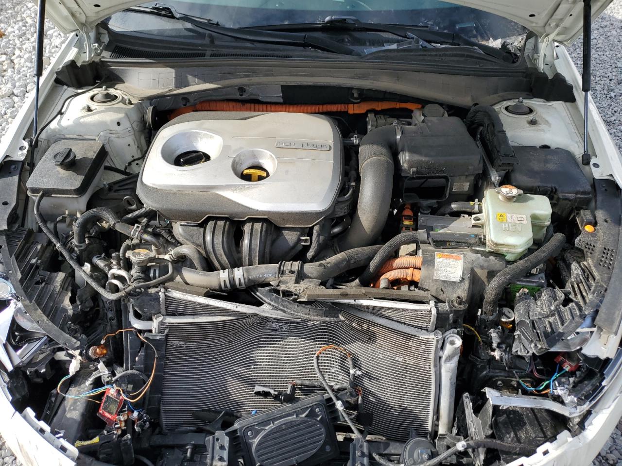 KNAGV4LD3K5031980 2019 Kia Optima Plug-In Hybrid