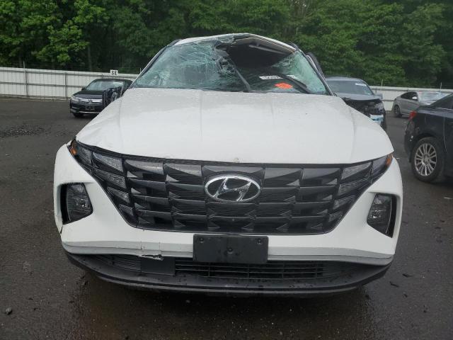 2023 Hyundai Tucson Sel VIN: 5NMJBCAE9PH253113 Lot: 55975094