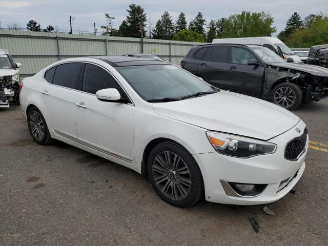 2014 Kia Cadenza Premium VIN: KNALN4D79E5150953 Lot: 54168524