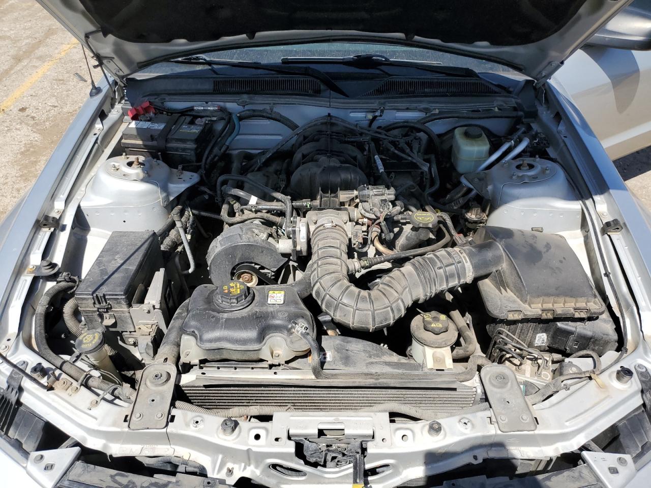 1ZVFT84N555239881 2005 Ford Mustang