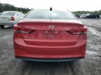 HYUNDAI ELANTRA SE photo