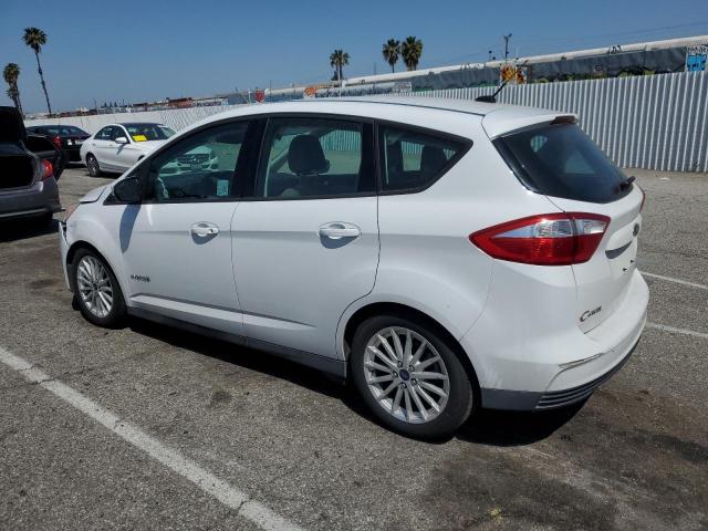 2016 Ford C-Max Se VIN: 1FADP5AUXGL103744 Lot: 52406744