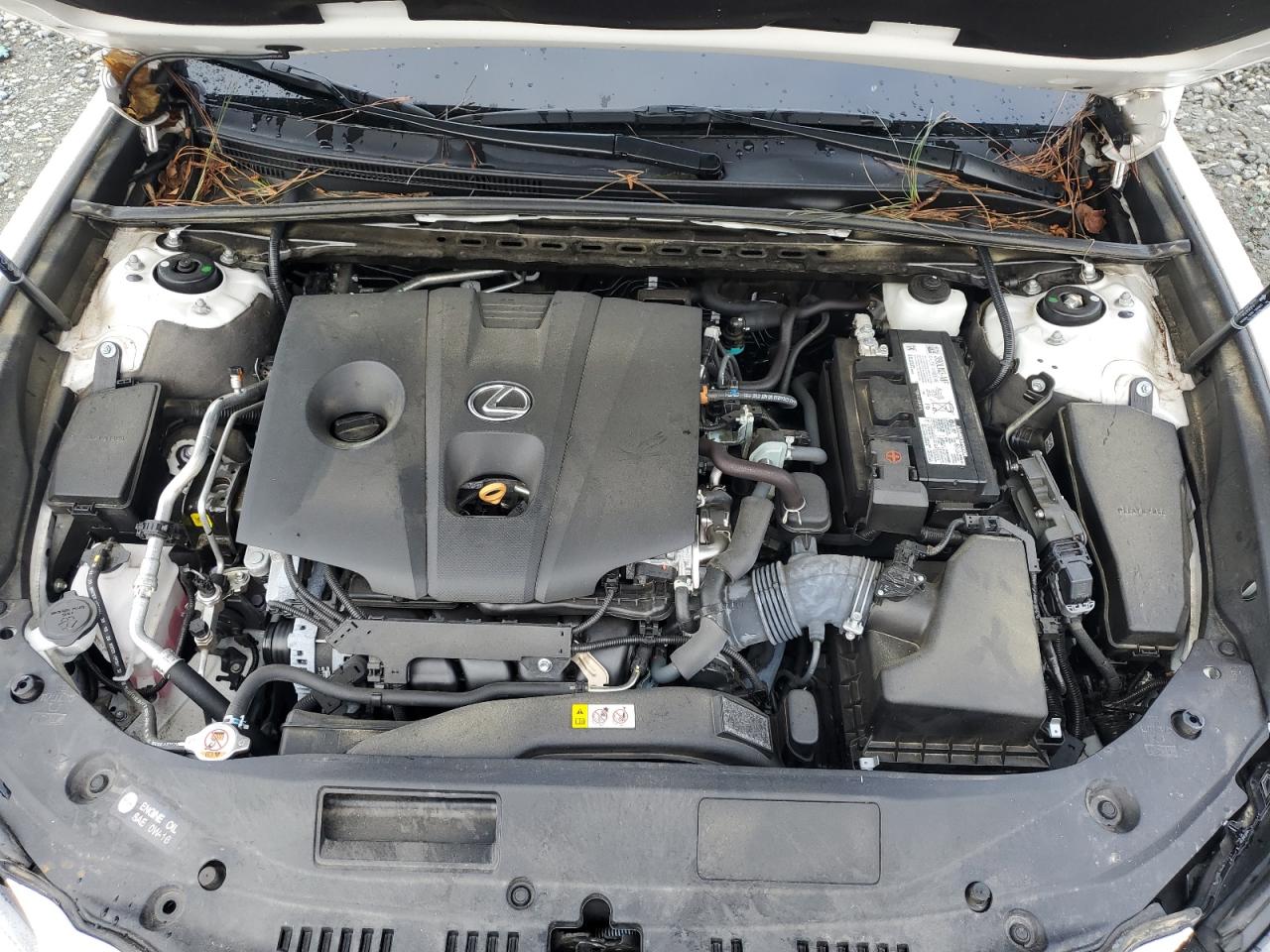 58AD11D11MU006805 2021 Lexus Es 250 Base