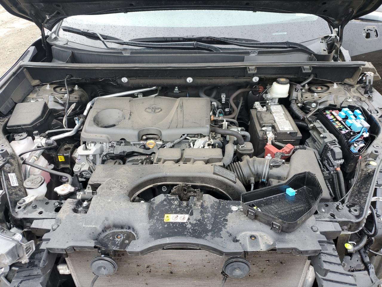 2T3N1RFV1MW167172 2021 Toyota Rav4 Limited