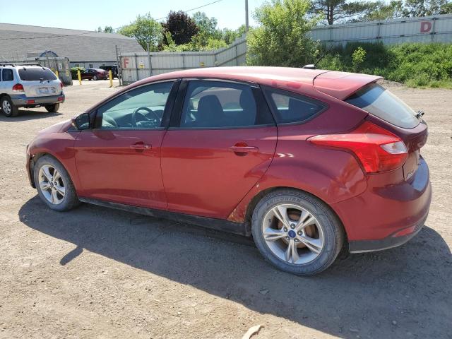 2013 Ford Focus Se VIN: 1FADP3K25DL304996 Lot: 55355564