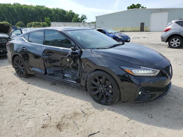 2023 Nissan Maxima Sr VIN: 1N4AA6EV4PC502162 Lot: 56243914