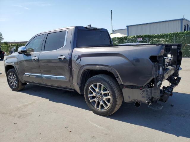 2022 Toyota Tundra Crewmax Platinum VIN: 5TFMA5DB2NX013502 Lot: 56251464