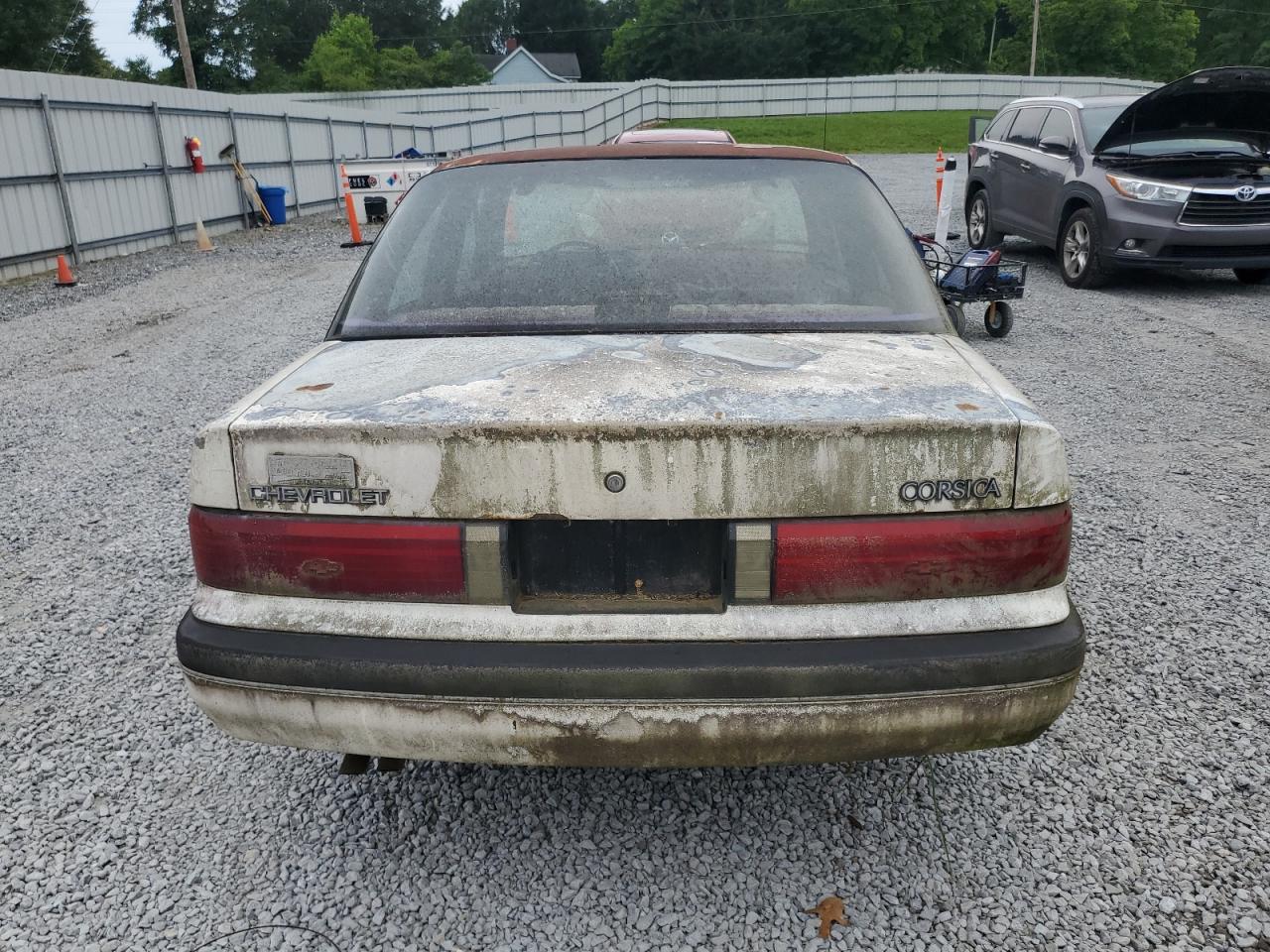 1G1LT5416KY249078 1989 Chevrolet Corsica