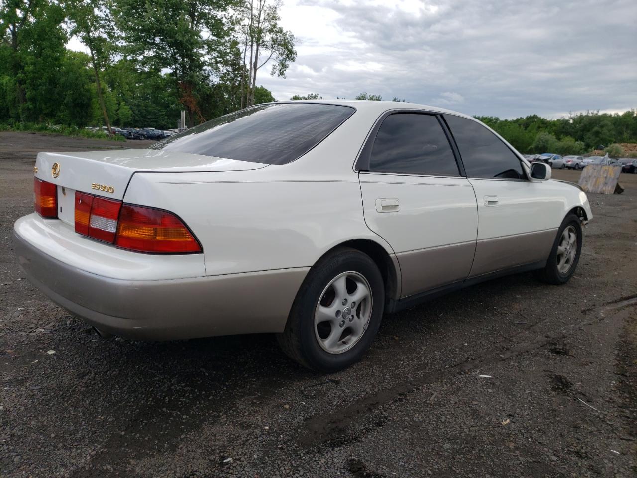 JT8BF28G1W5043731 1998 Lexus Es 300