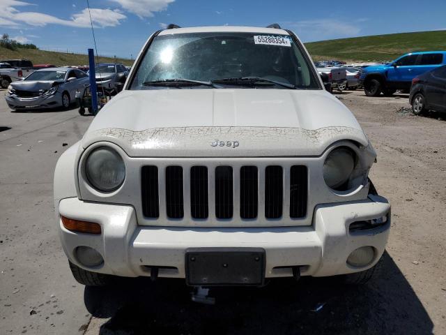 2004 Jeep Liberty Limited VIN: 1J8GL58K04W234403 Lot: 55280354