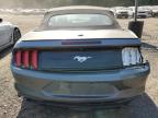 FORD MUSTANG photo