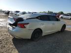 Lot #2957556433 2017 NISSAN MAXIMA 3.5